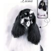 Custom B&W Dog Memorial Portrait Minimalist B&W Dog Memorial Portrait, Pet Loss Gift