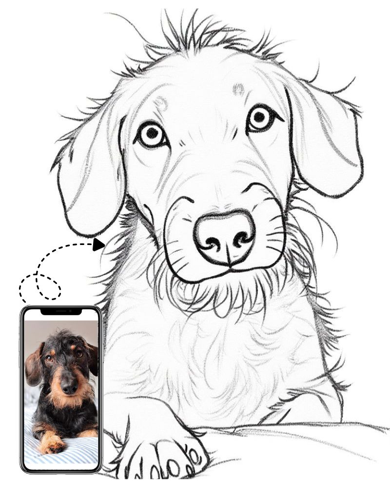 Custom Pencil Sketch Dog Portrait, Dog Portrait from Photo
