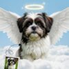 Digital pet angel portrait with wings, personalized pet memorial art for social media