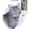 Digital B&W Cat Memorial Portrait Minimalist B&W Cat Memorial Portrait, Cat Memorial Gift