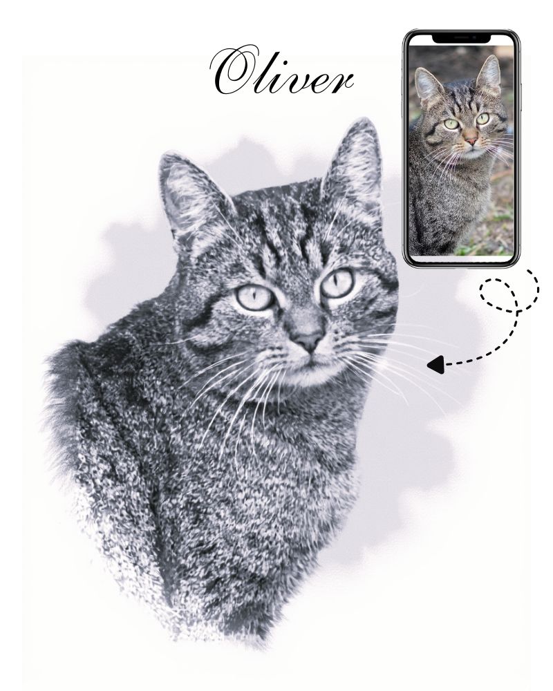 Digital B&W Cat Memorial Portrait Minimalist B&W Cat Memorial Portrait, Cat Memorial Gift
