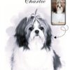 Digital pet memorial sketch Black and white digital pet memorial sketch, custom printable sympathy gift for pet lovers.