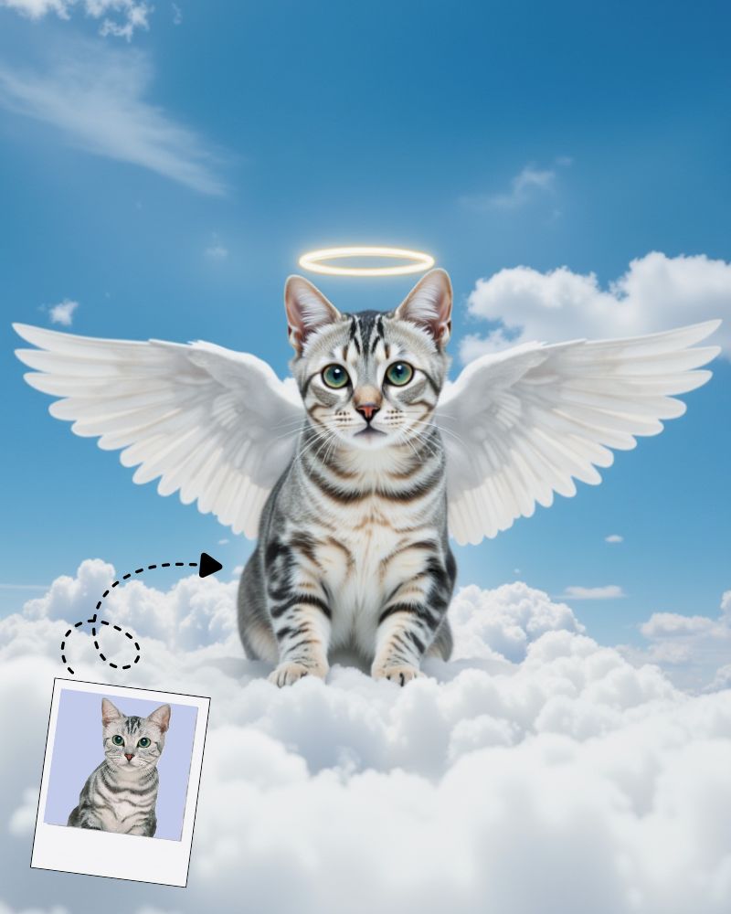 Memorial Angel Wing Tribute Cat Portrait, Cat Loss Art