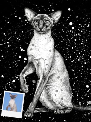 The Silver Cosmic Dust Celestial  Cat  Portrait